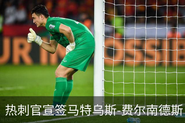 热刺官宣签马特乌斯-费尔南德斯 转会费8500万镑破纪录